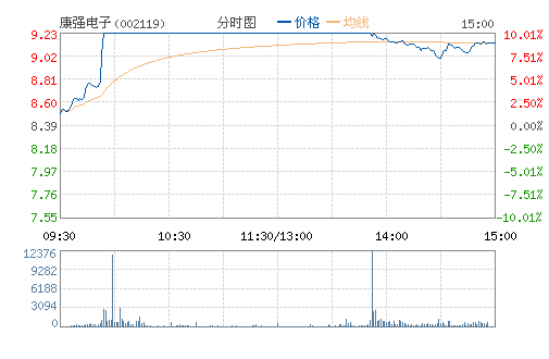 康强电子(002119) 康强电子(002119)