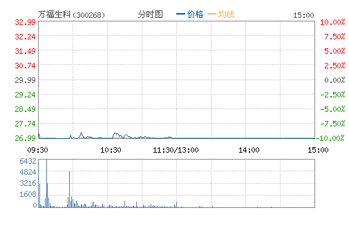 ������(300268)