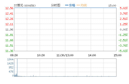 ST��Ԫ(600656)