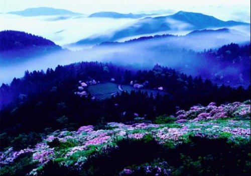 �������κ�ȥ������������̨ �鶨��̨ɽ