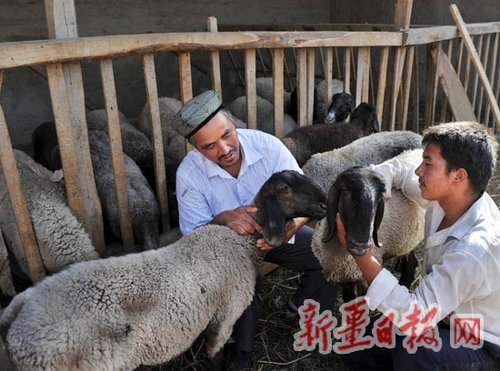 �½��������Ϊ�й������³��� ���һֻ1400��